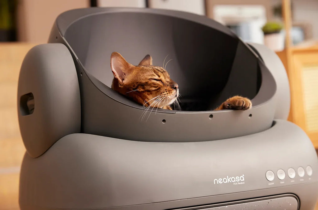 Neakasa M1 Self-Cleaning Cat Litter Box – راحة كاملة لك ونظافة ذكية لقطتك بدون مجهود! 🐱✨