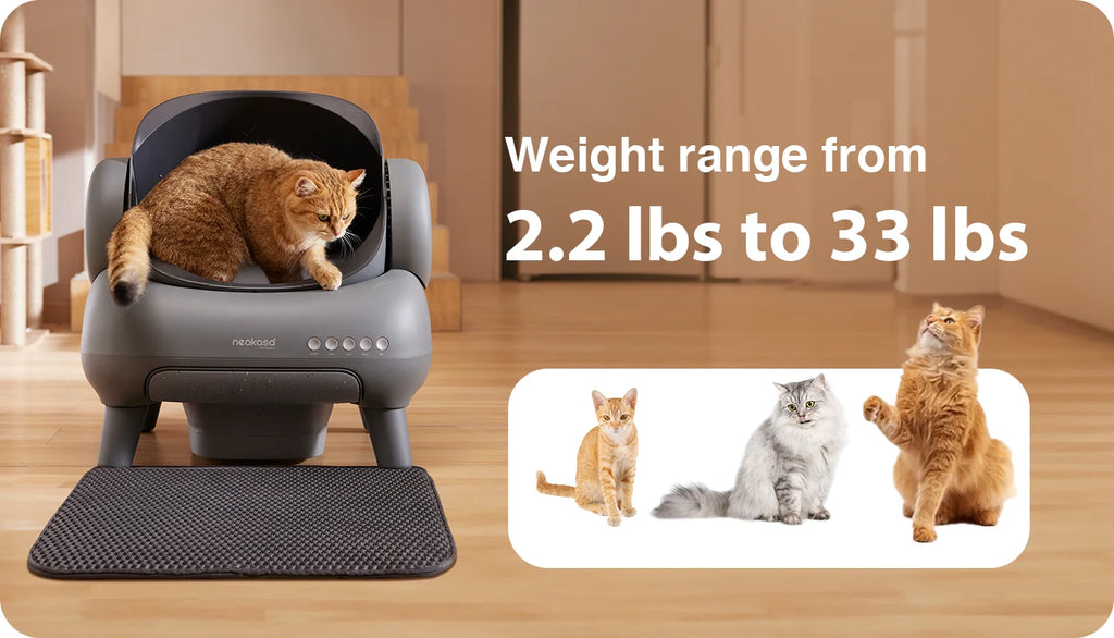 Neakasa M1 Self-Cleaning Cat Litter Box – راحة كاملة لك ونظافة ذكية لقطتك بدون مجهود! 🐱✨